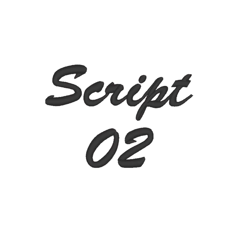 SCRIPT 02.webp