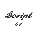 SCRIPT 01.webp