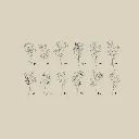 Geboortebloemen (4).webp